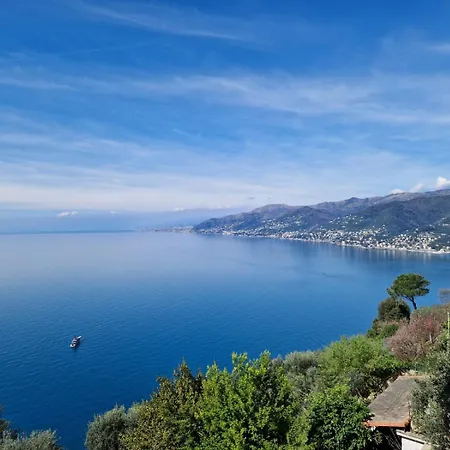 Un Giardino Su Camogli By World *