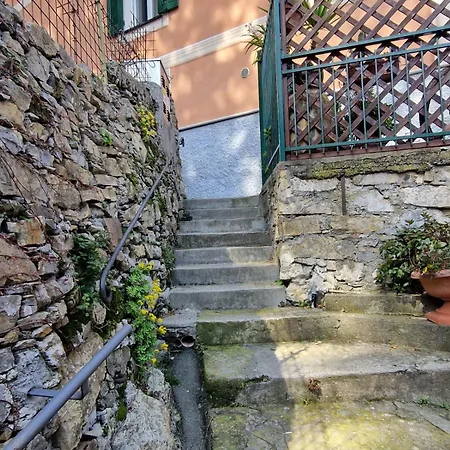 Lejlighed Un Giardino Su Camogli By World