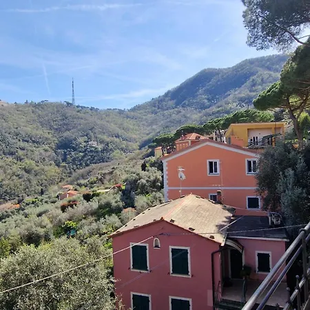 Un Giardino Su Camogli By World *