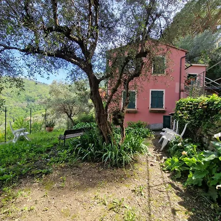 Un Giardino Su Camogli By World Apartamento *