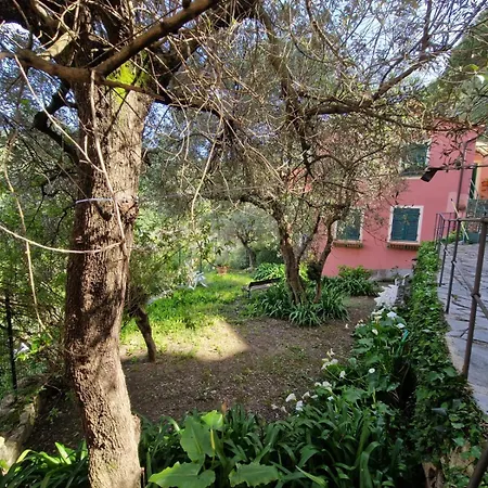 Un Giardino Su Camogli By World *