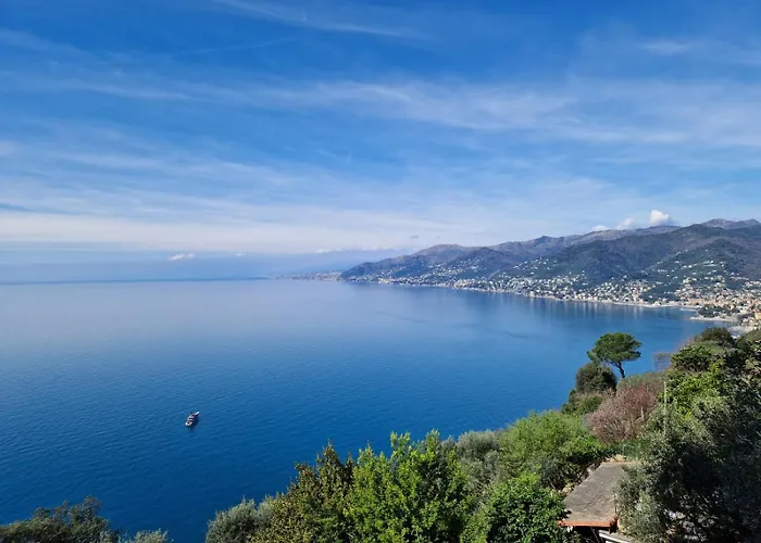 Un Giardino Su Camogli By World *