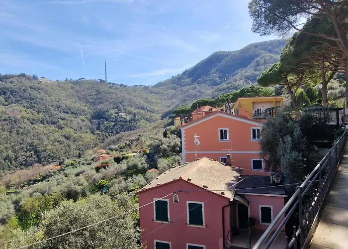 Un Giardino Su Camogli By World *