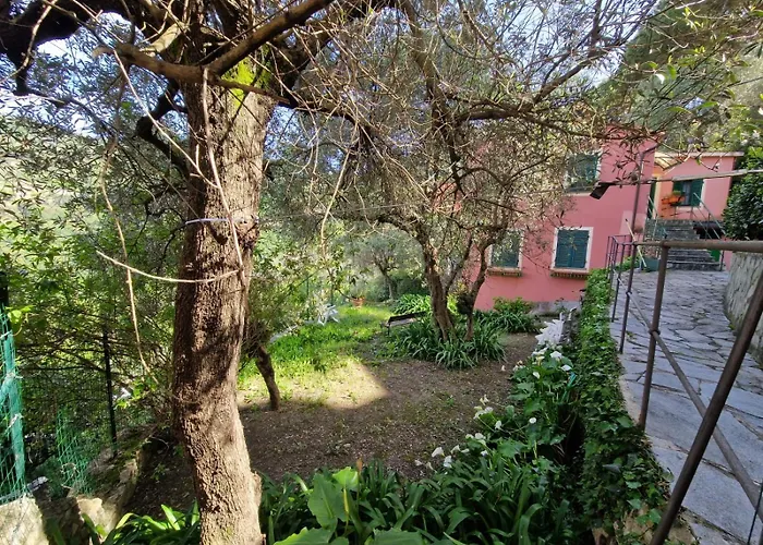 Un Giardino Su Camogli By World *